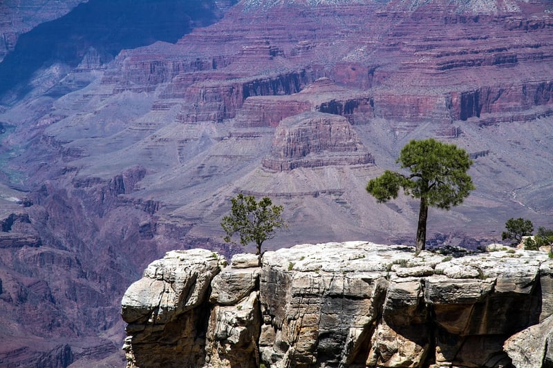 Colorado River Grand Canyon