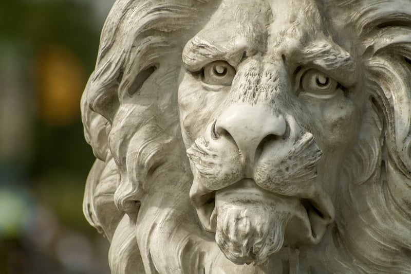 Lions in the wild